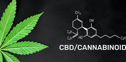 CBD/Cannabinoider