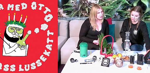 Luciastream med cannabisfokus