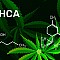 THCA och CBD - En översikt